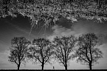 Hurych 003 small